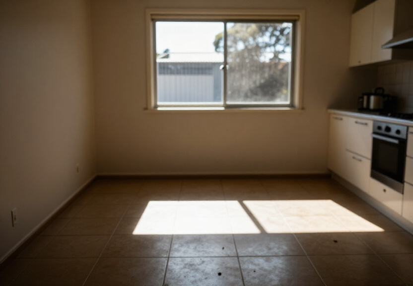 Residential Spider Control